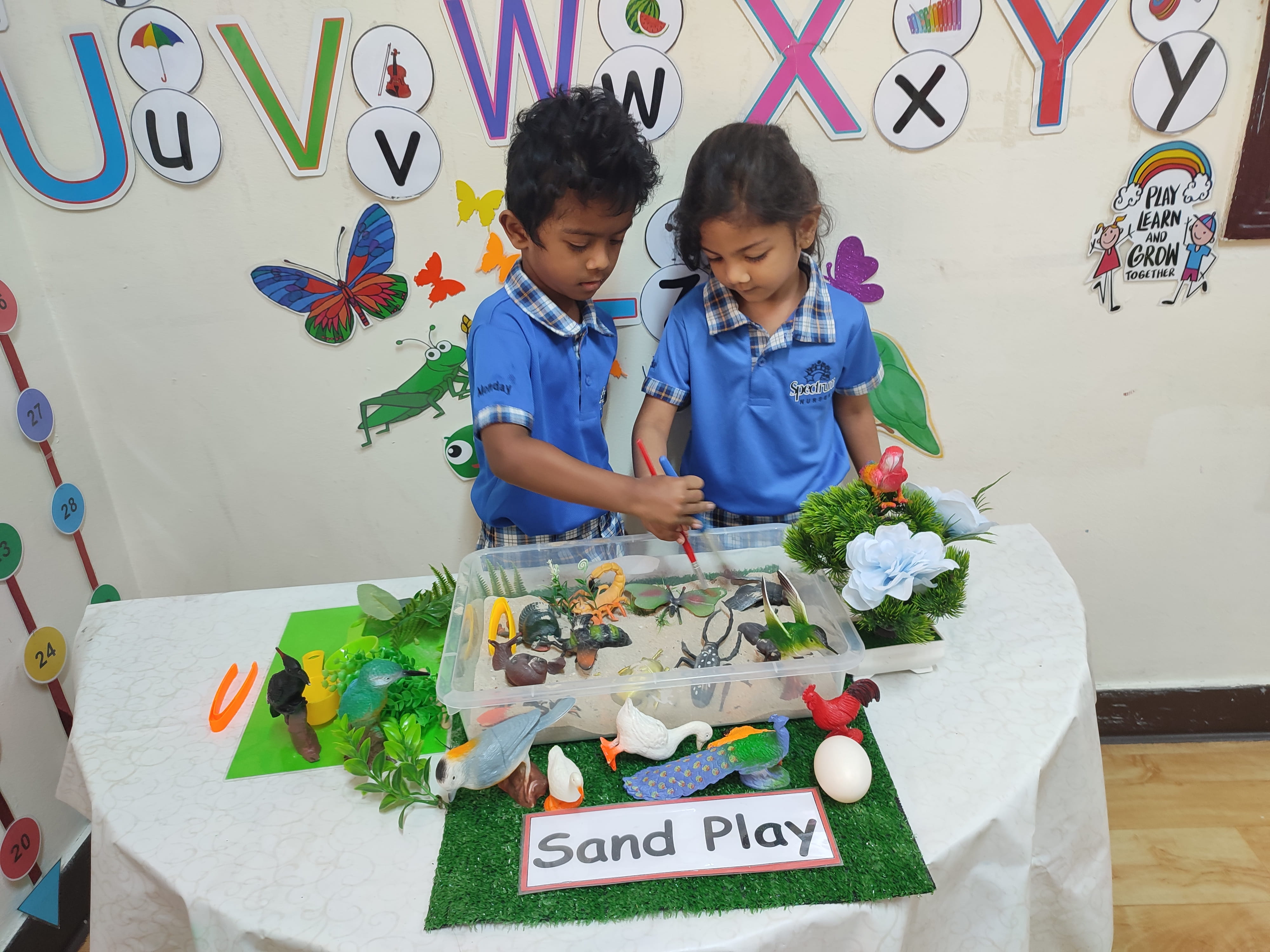 FS1 KG1 Program